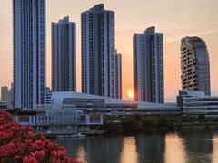 -厦门园林博览苑