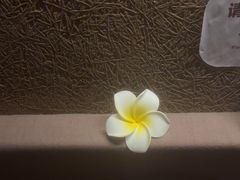 -厘舍SPA(运达店)