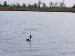 -野鸭湖国家湿地公园