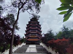 -金水泊山庄·花椒鸡(铁山坪店)