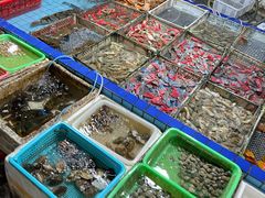 水产区-霞涌市场海鲜摆卖区