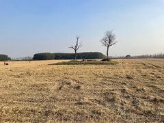 -嘉北郊野公园