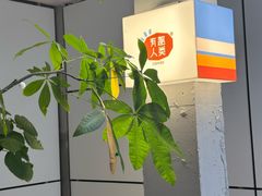 -有趣人类咖啡(永庆坊店)