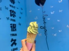-萨朗刀克冰淇淋雪花凉(植物园店)