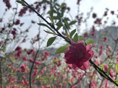 -南溪山景区