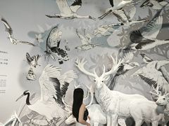 -中国湿地博物馆