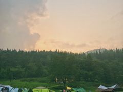 -武陵山森林公园