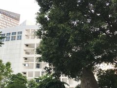 -南山图书馆(常兴路店)