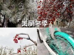 -吉林大学(前卫南校区)