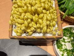 -巴奴毛肚火锅(七宝领展广场店)