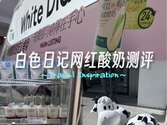 -白色日记·手作酸奶(麦凯乐店)