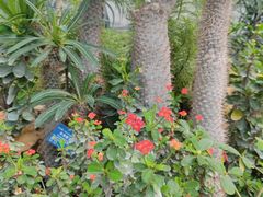 -国家植物园南园