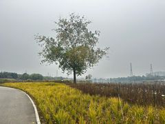 -永定河休闲森林公园