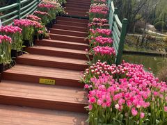 -上海鲜花港