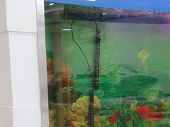 -雅悦齿科(顾村公园店)