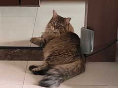 -瑞派宠物医院(搏威敦和院)