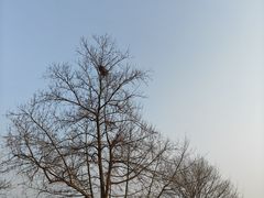 -良渚古城遗址公园