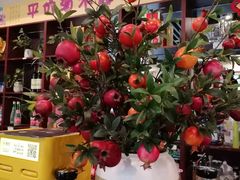 -尚帝·洛阳菜(八號院店)