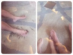 -中旅阿那亚九龙湖·公主酒店
