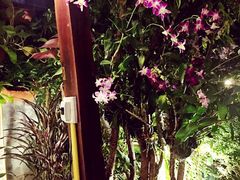 -Dash Teak House