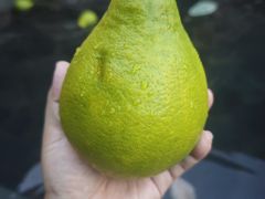 -裕龙汤泉