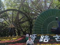 -呀路古热带植物园