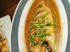 家常烧黄花鱼-前海沿·青岛菜(五四广场永旺店)