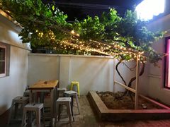 -ZING鲸鱼啤酒(葡萄院店)