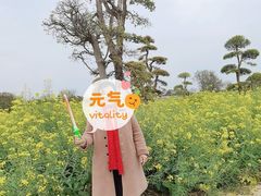 -武汉紫薇都市田园