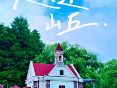 -上海共青森林公园