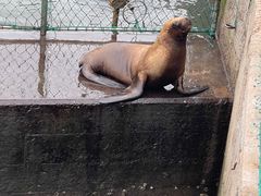 -西霞口神雕山野生动物世界