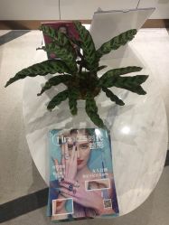 -常熟时代医疗美容