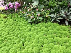 -北京植物园-展览温室