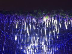 -长春公园(普阳街道)