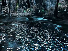 -超体空间SoReal VR(迪士尼小镇店)