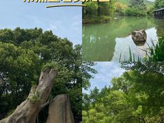 -宝岩生态观光园