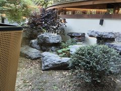 -久宴·天目湖大鱼头(恐龙园店)