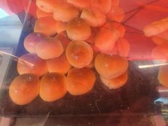 -惠源面包店(开禾路店)