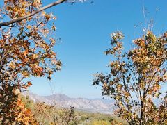 -鹫峰国家森林公园