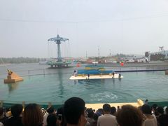 -秦皇岛乐岛海洋王国