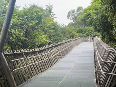 -福道