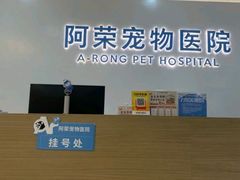 -阿荣24H宠物医院·综合型转诊中心·CT·核磁影像中心