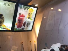 -津椰本·海南正宗椰奶清补凉(店一店)
