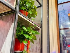 -山河屯铁锅炖(哈西站店)