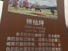 -硗碛藏寨·神木垒景区