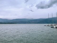 -花鲢鱼头火锅(春城东路店)