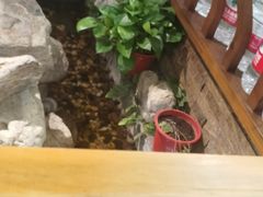 -清真·京华源铜锅涮肉(丰庆店)