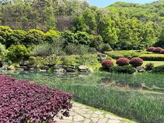 -桃花岭景区