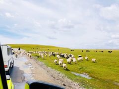 -青海湖国家重点风景名胜区