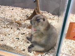 -狗道宠物(常熟印象城店)
